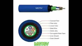 MGTSV