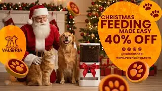 Automatic Pet Feeder Review &ndash; Easy & Reliable Way to Feed Pets on Schedule