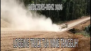 Mercedes-Benz 3836 Logging Truck Tua Yang Tangguh