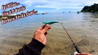 BERBURU CUMI...!! Setiap lempar langsung di sambar cumi || Mancing cumi di pinggir pantai siang hari
