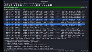 Wireless Penetration Testing - Detailed Packet Analysis with Wireshark to formulate better attacks