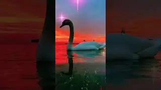 Закат!  Прекрасного Вечера! #настроение