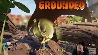 Grounded V1.0 🐞 |40| Im Kampf mit den Wolfsspinnen! Giftresi leveln! Gameplay Deutsch