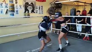 Sparring Dulce 