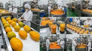 How Papaya Desserts Are Made in a High-Tech Factory (Complete Process)