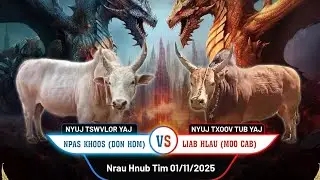 Nyuj Npabkhoo Vs Nyuj liabhlaus 1/11/2025 Nyuj Sib Nraus MoosCab 