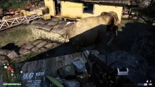 Stealth Makai style