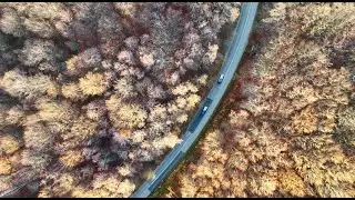 Flying Through Autumn | Fast-Cut Aerials of Faget Forest in Cluj-Napoca | Romania #dronevideo #cluj