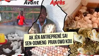 Antreprenè sa gen kapasite poul kale plis pase 2000 ti poul chak mwa.sen domeng pran gwo kou