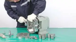 Assembly sequence of stainlesss steel rotary lobe rotor pump from Joneng
