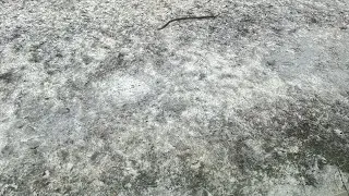 Crazy shark movie: Snow day! (part 3)