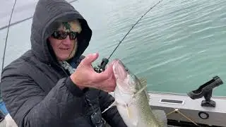 Huge Lake Erie Walleyes   December 2020   HD 1080p
