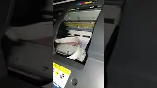 Epson Stylus cx8400 Printing