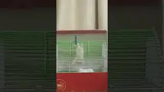 падение руфера