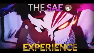 The Sae Experience&hellip; (GoalBound)