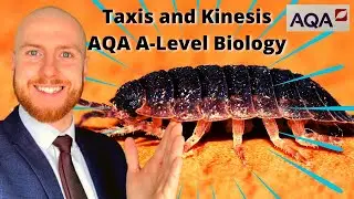 Taxis and Kinesis AQA A-Level Biology