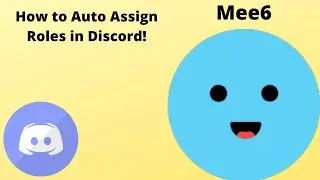 Have Members AUTOMATICALLY get a role in a Discord Server!