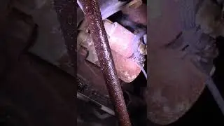 Ford no start no crank diagnoses and fix #shortsvideo #shortvideo #nostart #nocrank