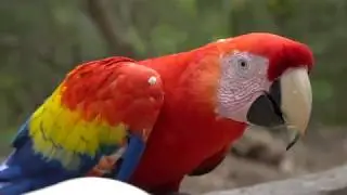 Honduras 2018