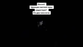 Дискорд в 3 часа ночи #мемы #юмор