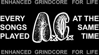 ANAL CUNT &ndash; Every songs played at the same time (Grindcore, harshnoise)