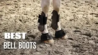 9 Best Horse Bell Boots in 2022 - Reviews & Top Picks