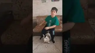 Супер Детки  эксперимент 