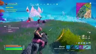 Fortnite *NEW* Riding Animals
