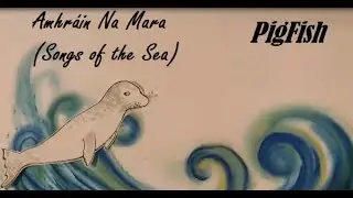 Pigfish by the Galway Ukers for European Maritime Day 2021