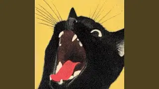 Purr (2026 Remastered Version)