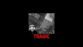 this bug KILLED Pewdiepie's horse in Minecraft