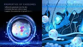 Advanced Therapy - Exosomal skin modulation - professional explainer