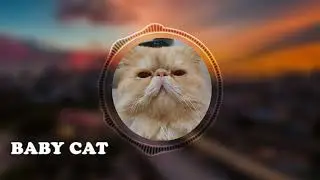 #cat #cats #song #meowing #kids #Baby #Shark Cat Meowing Song - Baby Cat Song - Cat Song