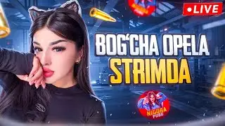 💙STRIMGA GOOO  💙 265K STRIMGA GO 💙 #pubgmobile #nigorapubg#uzbekistan  #shortsstrim