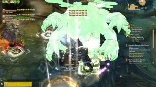 Tree of Savior: Hollow Thorn Forest Instance