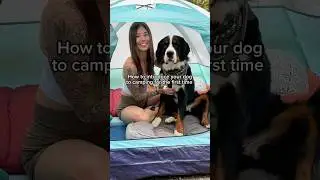 Desensitization before camping is SO important! 🏕️🐾 #campingwithdogs #campingdog #camping #dogs
