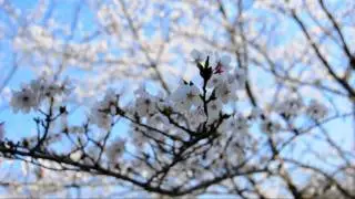 spring compilation