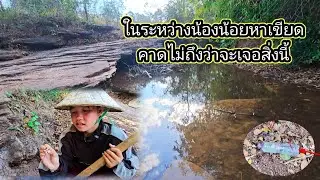 ระหว่างน้องน้อยหาเขียด คาดไม่ถึงว่าจะเจอสิ่งนี้ 28 มกราคม ค.ศ. 2026