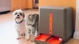 Must have Gadgets for your Pets