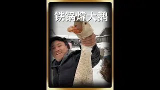 山是山河是河咱说铁锅必须㸆大鹅，先吃了老铁们#记录我的农村生活 #铁锅炖大鹅 #美食