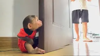 Priceless Moment! CUBIS&rsquo; Funny Troll on Dad Has Everyone Laughing