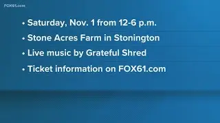 The Roost Festival, a tribute to The Grateful Dead, coming to Stonington