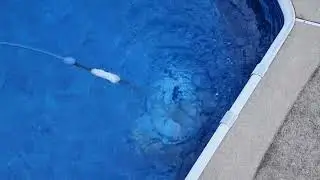 Brand new Maytronics Dolphin M400 failing to climb walls and clean waterline.
