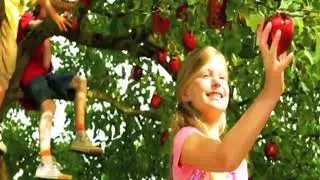 tinkerbell gartenfee v1 720p