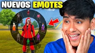 Descubrí los 
