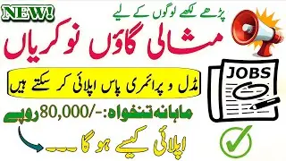 Pakistan Government PRMSC Jobs Apply 2025 - Punjab Rural Municipal Services Company Jobs 2025
