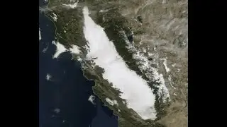 The Fog That Turned Deadly Inside California&rsquo;s Smog Chamber