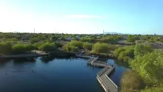 Riparian Reserve in Gilbert Arizona