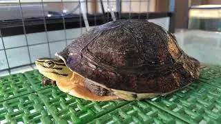 2026.1.14.自分が二十歳の頃