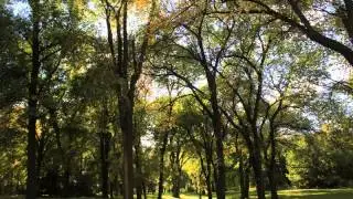 St Vital park,Winnipeg,MB timelapse se21